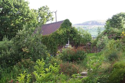 wales4